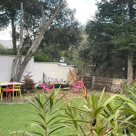 Arboree - Piscine Villa *